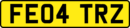 FE04TRZ