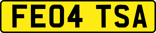 FE04TSA