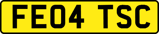 FE04TSC