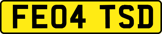 FE04TSD