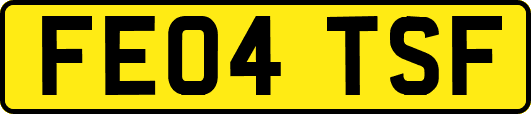 FE04TSF