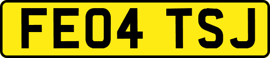 FE04TSJ
