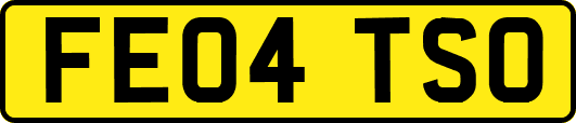 FE04TSO