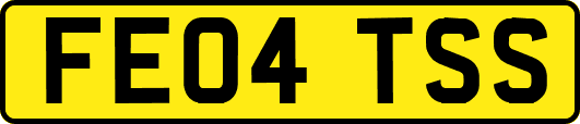 FE04TSS