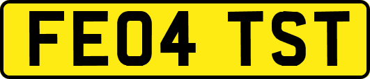 FE04TST