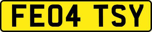 FE04TSY