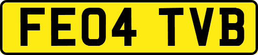 FE04TVB
