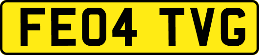 FE04TVG