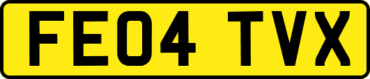 FE04TVX