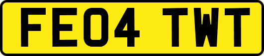 FE04TWT