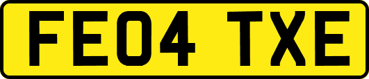 FE04TXE