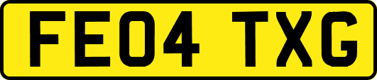 FE04TXG
