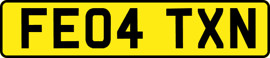 FE04TXN