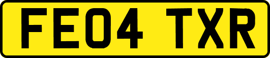 FE04TXR