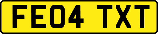 FE04TXT