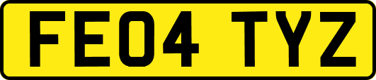 FE04TYZ