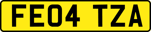 FE04TZA