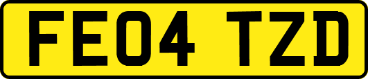 FE04TZD