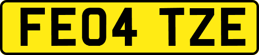 FE04TZE