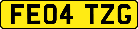 FE04TZG