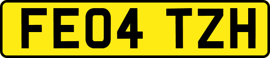 FE04TZH