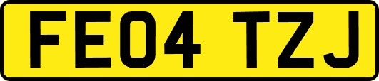 FE04TZJ