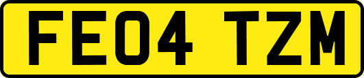 FE04TZM