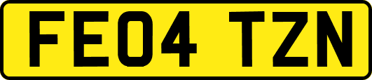 FE04TZN