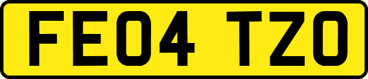 FE04TZO
