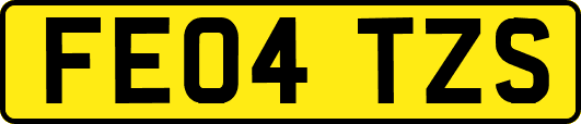FE04TZS