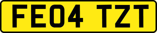FE04TZT