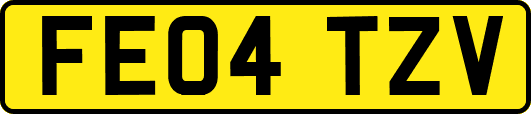 FE04TZV