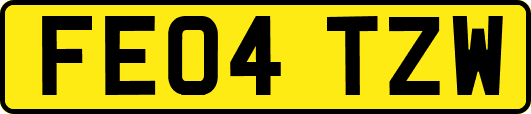 FE04TZW