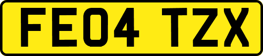 FE04TZX