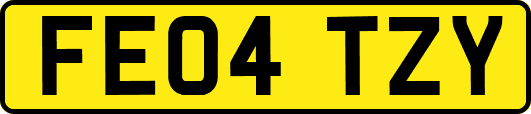 FE04TZY