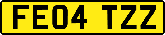 FE04TZZ