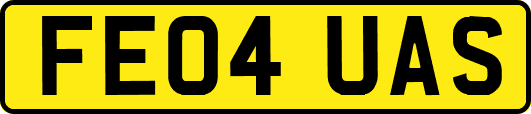 FE04UAS
