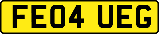 FE04UEG