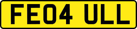 FE04ULL