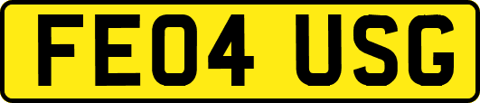 FE04USG