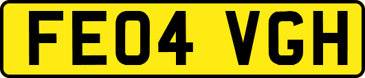 FE04VGH