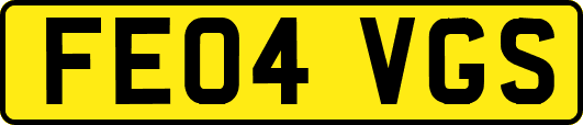 FE04VGS