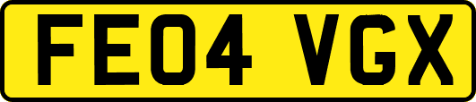 FE04VGX