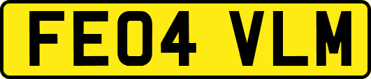 FE04VLM