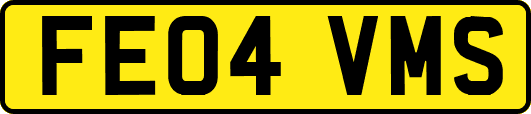 FE04VMS
