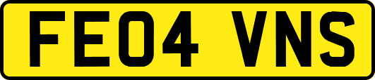 FE04VNS