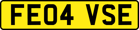FE04VSE