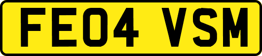 FE04VSM