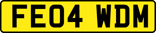 FE04WDM