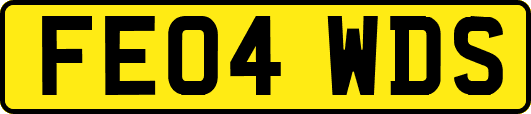 FE04WDS
